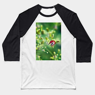 Ladybug on green Baseball T-Shirt